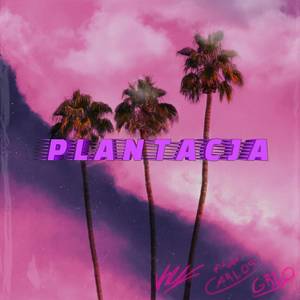 PLANTACJA
