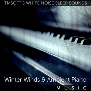 Winter Winds and Ambient Piano Music