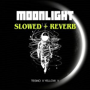 Moonlight (Slowed & Reverb)