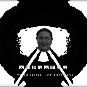 两间楼房两间平房