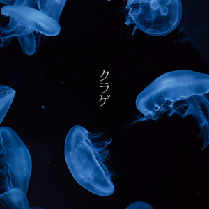 クラゲ