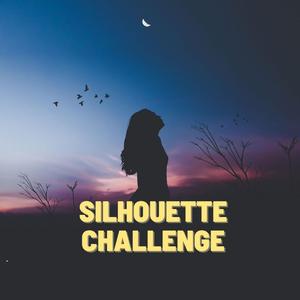 Silhouette Challenge