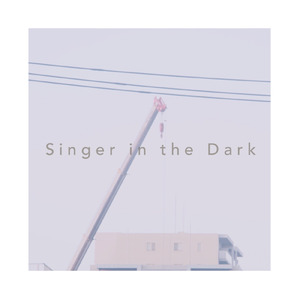 Singer in the Dark