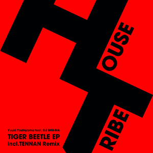 Tiger Beetle (Original Mix)