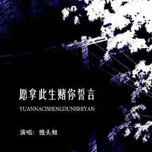 愿拿此生赌你誓言 (DJ默涵版伴奏)