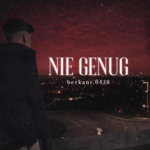 NIE GENUG