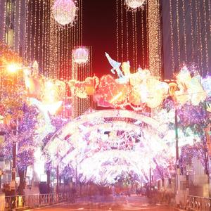 光のページェント/Starlight Wink