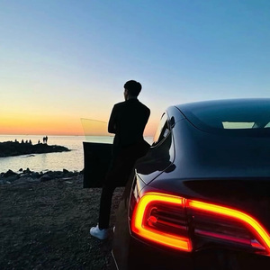 亲爱的大力士小姐、