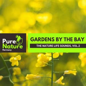 Fire Burning at Night