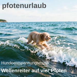 Wellenreiter auf vier Pfoten