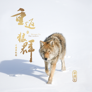 重返狼群 Return to the wolves