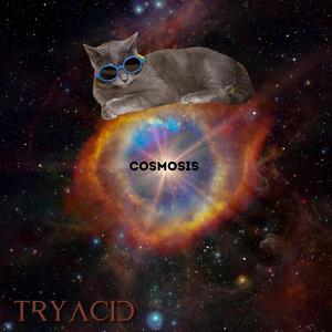 Cosmosis