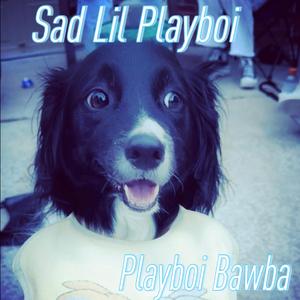 Sad Lil Playboi