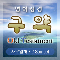사무엘하(2 Samuel) 10장