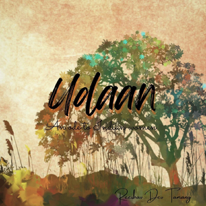 Udaan