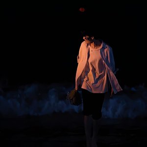 可惜我是一个平凡的人