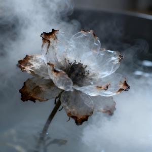 热水养花  洋澜