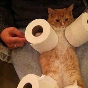 [FREE]Trippie Redd Type Beat"So"|Instrumental