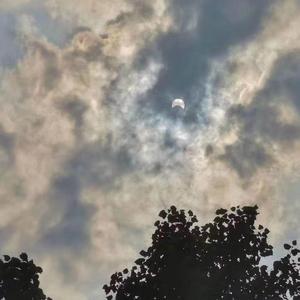 秋千、银杏和作业