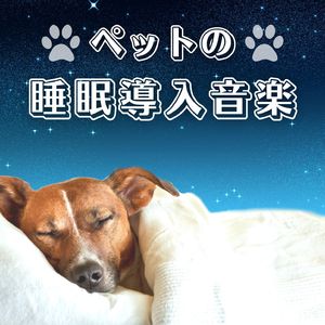 安心感を与える