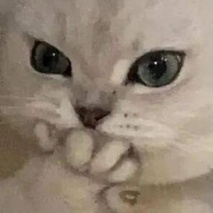 感谢你曾来过(旧）