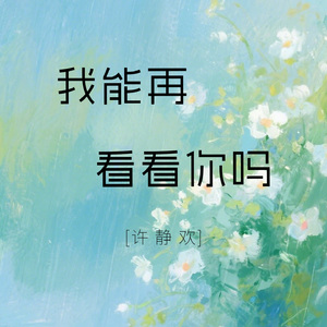 我能再看看你吗