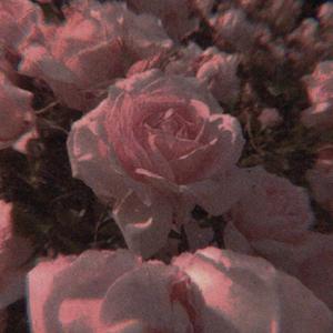 D前女友（PROD BY GOAT MUSIC）