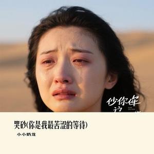 哭砂 (你是我最苦涩的等待) (Cover 大头针)