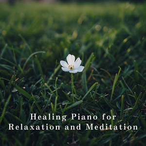 Gliding Over Endless Shores