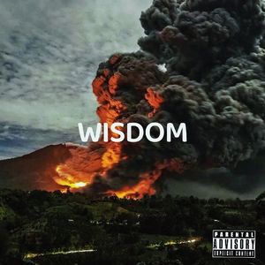 WISDOM