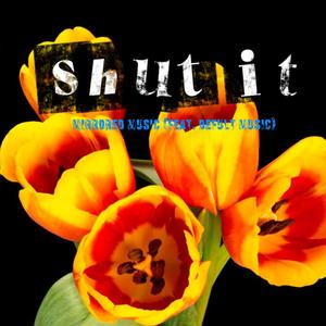 shut it (feat. Defult music)