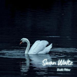 Swan Waltz