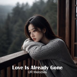 A Love I Couldn't Keep