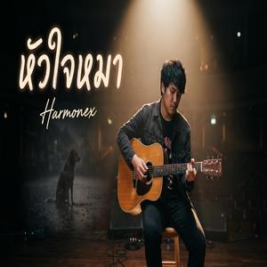 หัวใจหมา