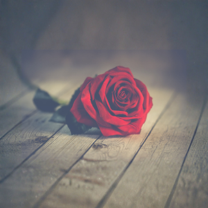 Red Heart