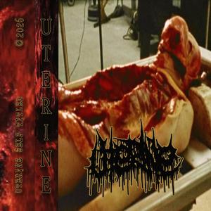 Meat Climax **** Ritual (feat. Metrorrhagia)