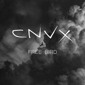 Free Bird