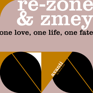 One Love, One Life, One Fate (Damasko Remix)