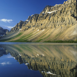 求仙问卜不如自己做主