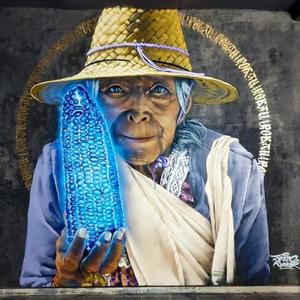 Campesinos