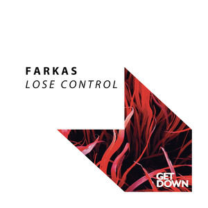 Lose Control (Extended Mix)