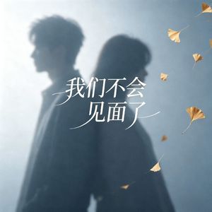 我们不会见面了