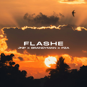 Flashe