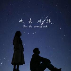 夜色流转 (Slow the spinning night) (Cover 不是玉芬)