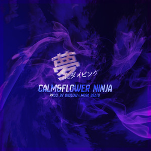 夢にダイビング