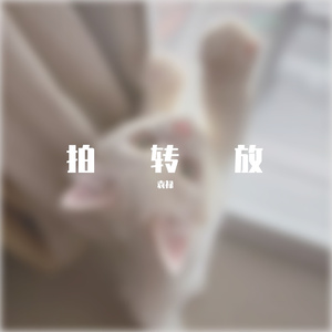 拍转放