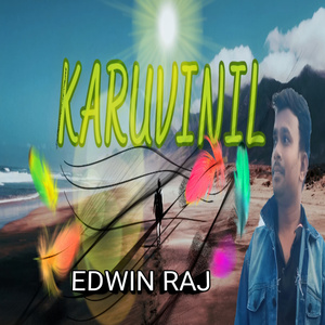 Karuvinil
