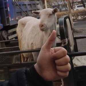 无法写出孤独.wav