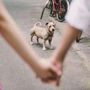 路过我的心却不定居