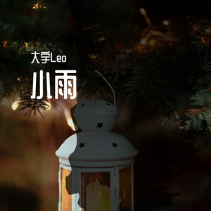 理查-大宇Leo